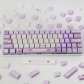 Blueberry Juice 104+29 XDA-like Profile Keycap Set Cherry MX PBT Dye-subbed for Mechanical Gaming Keyboard